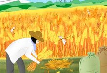 小说《综影视:角色觉醒时》在线章节阅读-看书城