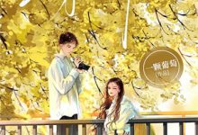 已完结小说《梨枝空映月,不见旧人归》在线章节阅读-看书城